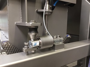 processing and weighing