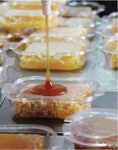 Filling & Packaging Filling & Packaging